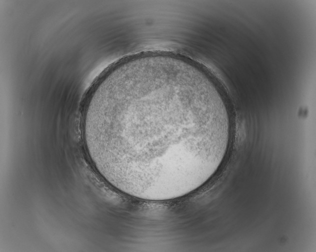 X0000111940878200908241138