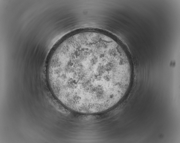 X0000111940879200908241138