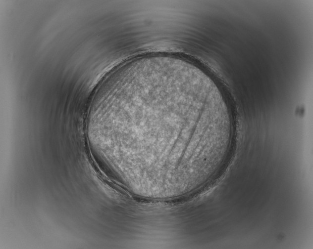 X0000111940881200908241138