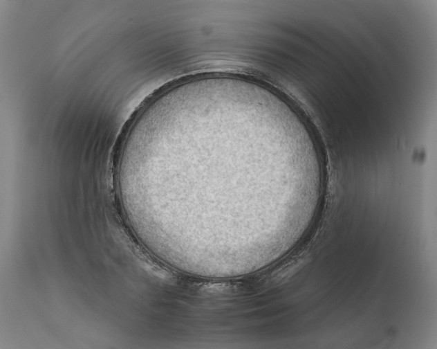 X0000111940883200908241138