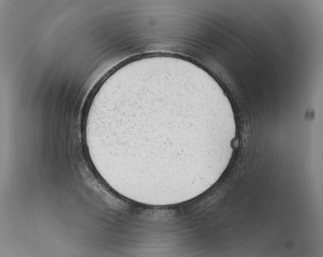 X0000111940884200908241138