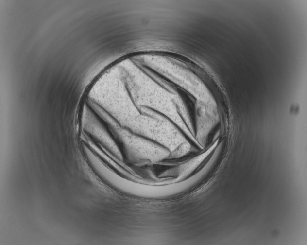 X0000111940885200908241138