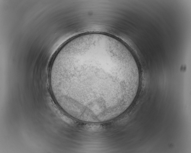 X0000111940886200908241138