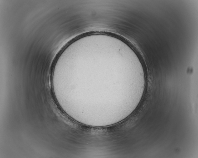 X0000111940887200908241138