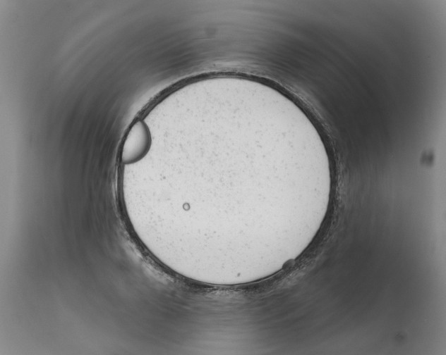 X0000111940888200908241138