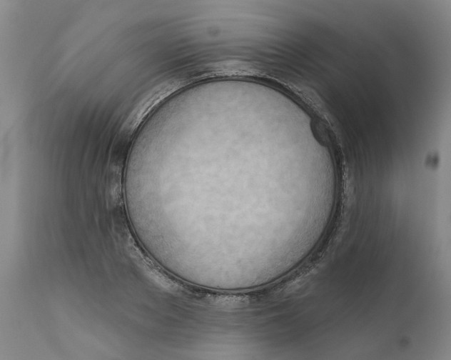 X0000111940889200908241138