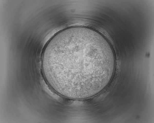 X0000111940890200908241138