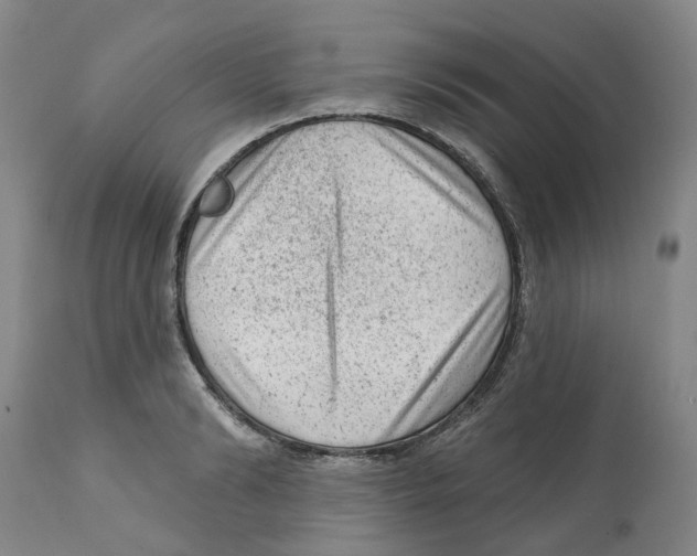 X0000111940894200908241138