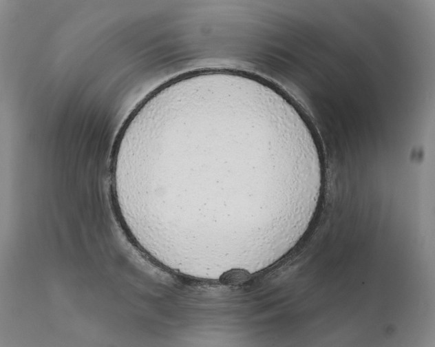 X0000111940895200908241138