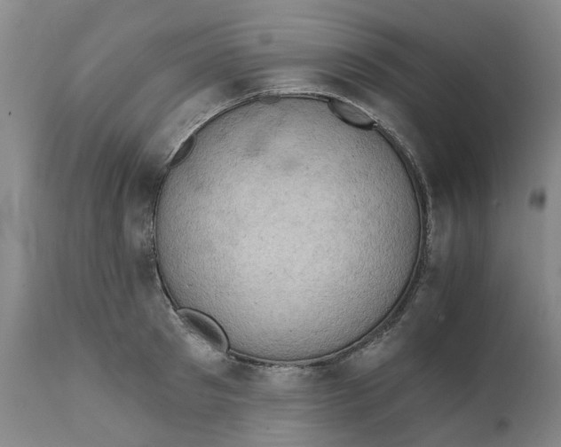 X0000111940897200908241138