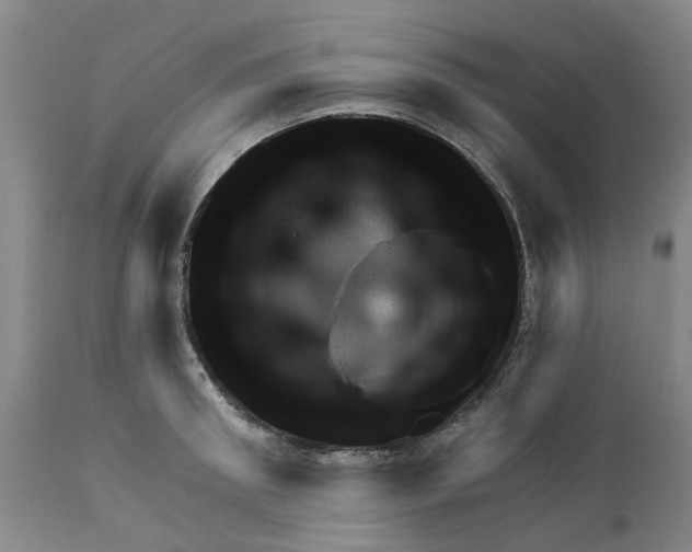 X0000111940898200908241138