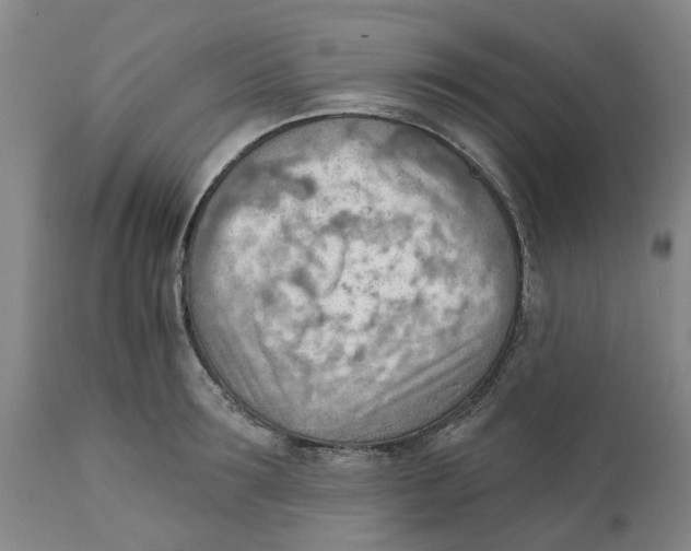 X0000111940899200908241137