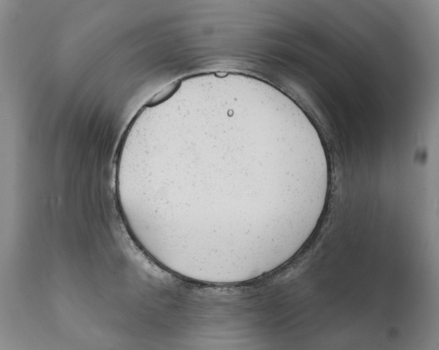 X0000111940900200908241137