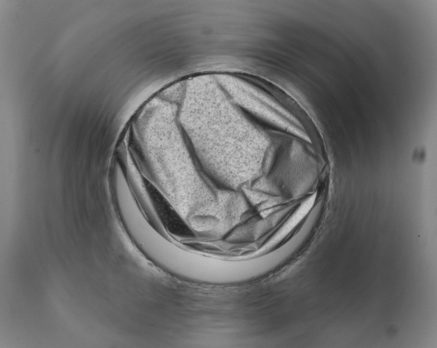 X0000111940901200908241137