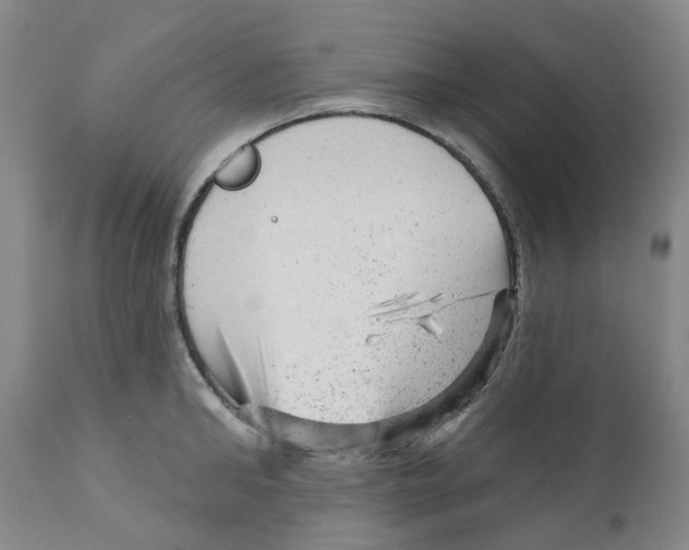 X0000111940902200908241137