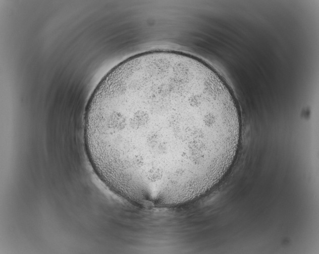 X0000111940903200908241137