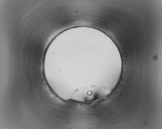 X0000111940904200908241137