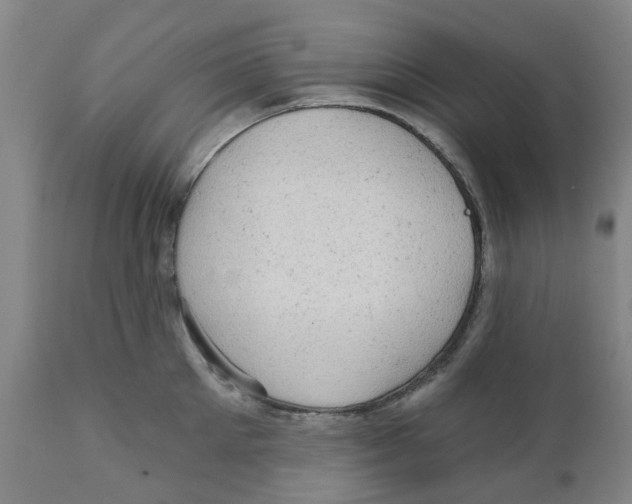 X0000111940905200908241137