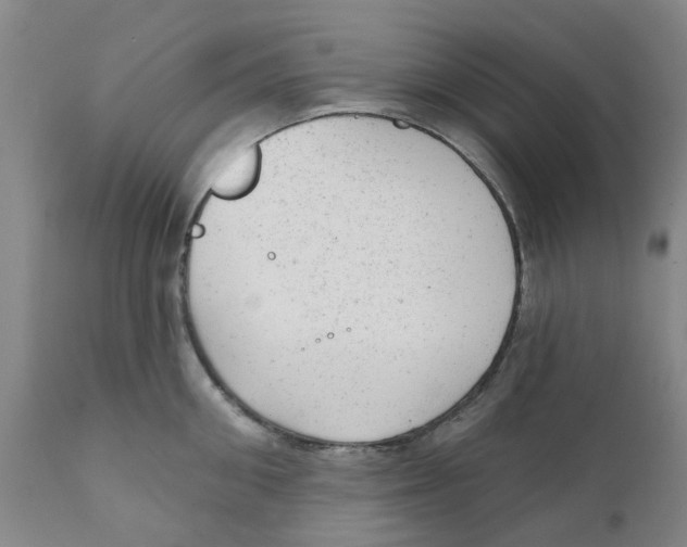 X0000111940906200908241137