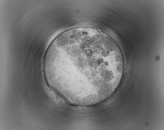 X0000111940907200908241137