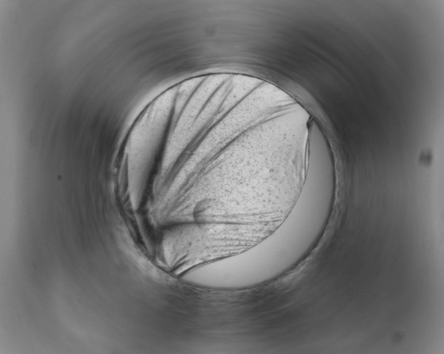 X0000111940908200908241137