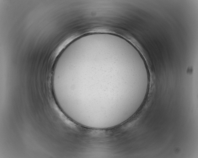 X0000111940909200908241137