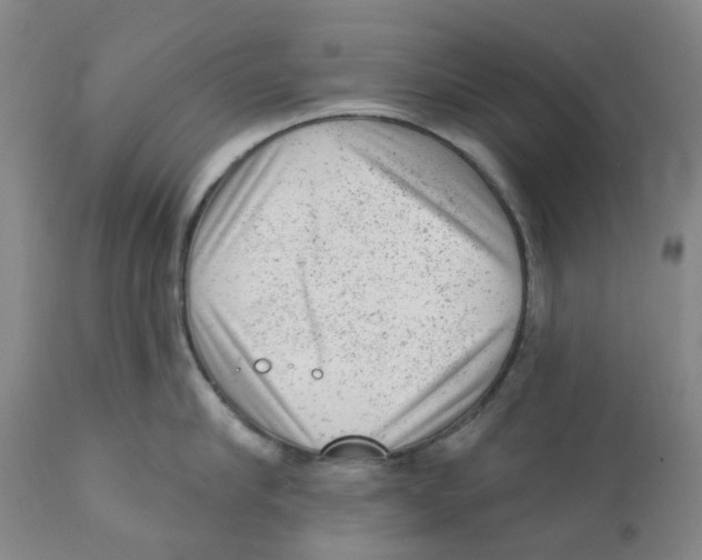 X0000111940910200908241137