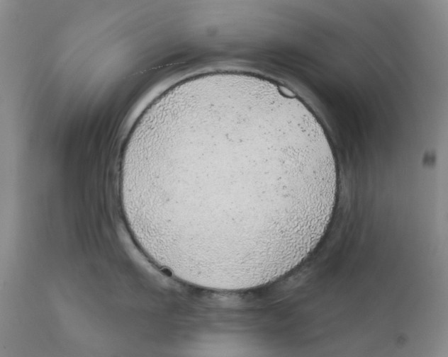 X0000111940911200908241137