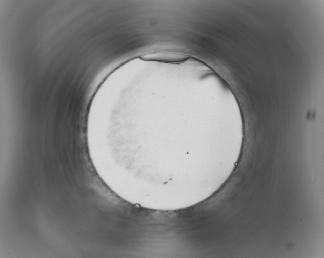 X0000111940912200908241137