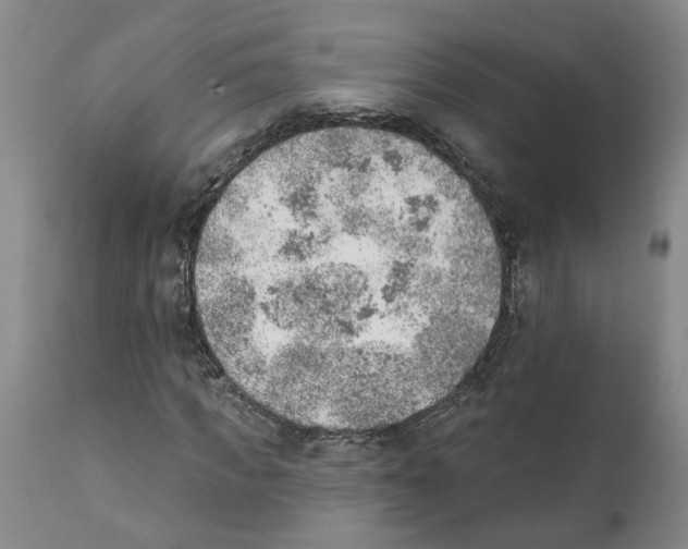 X0000111940917200908241136