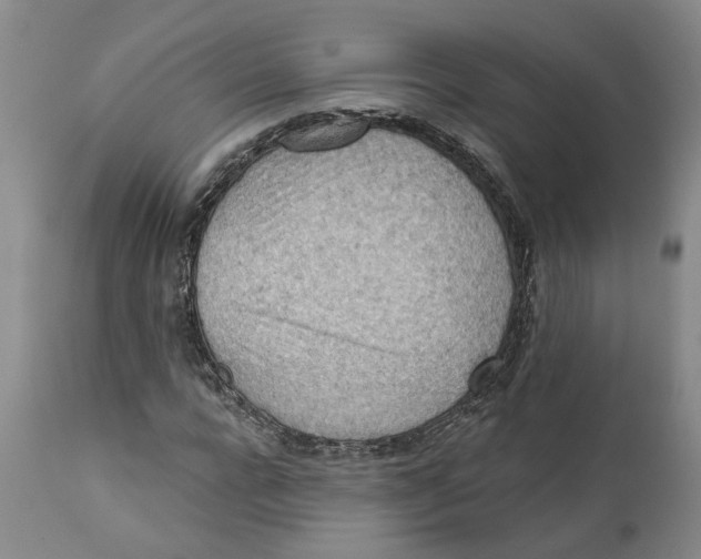 X0000111940920200908241136