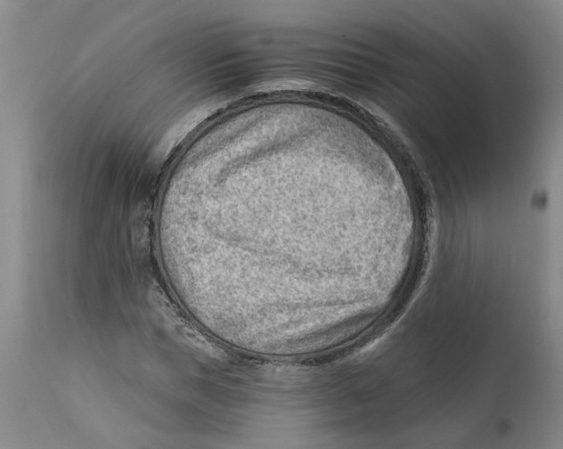 X0000111940921200908241136