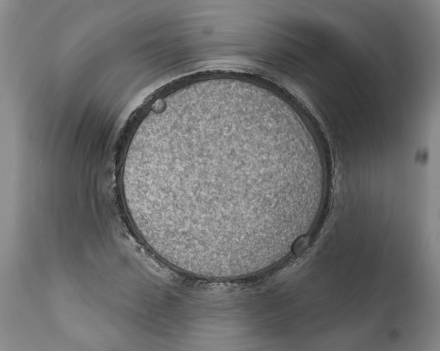 X0000111940923200908241136