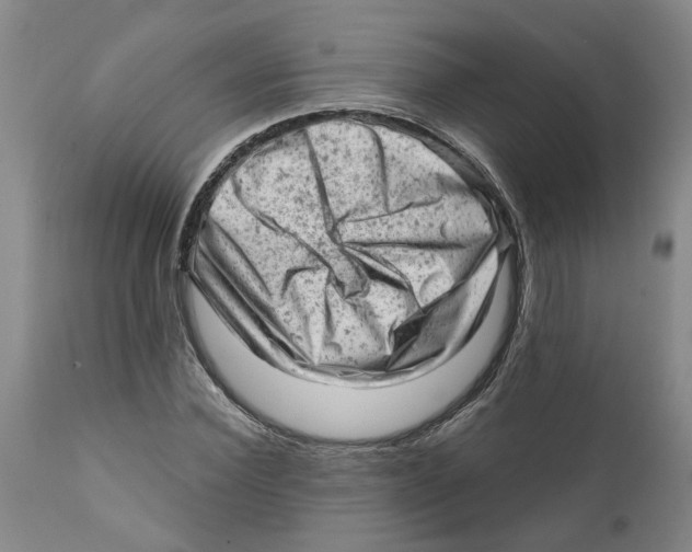 X0000111940924200908241136