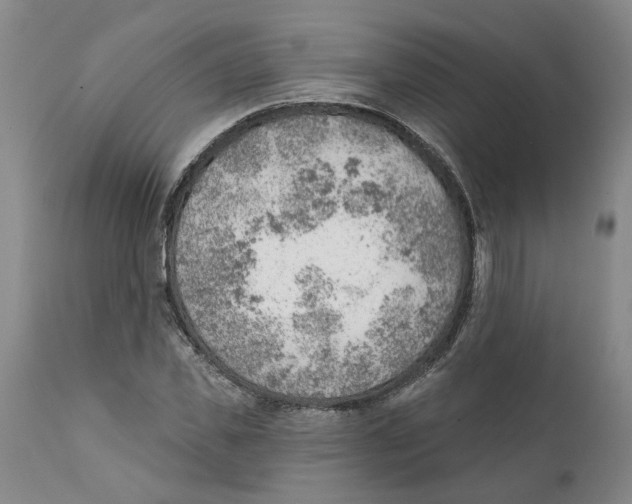 X0000111940925200908241137