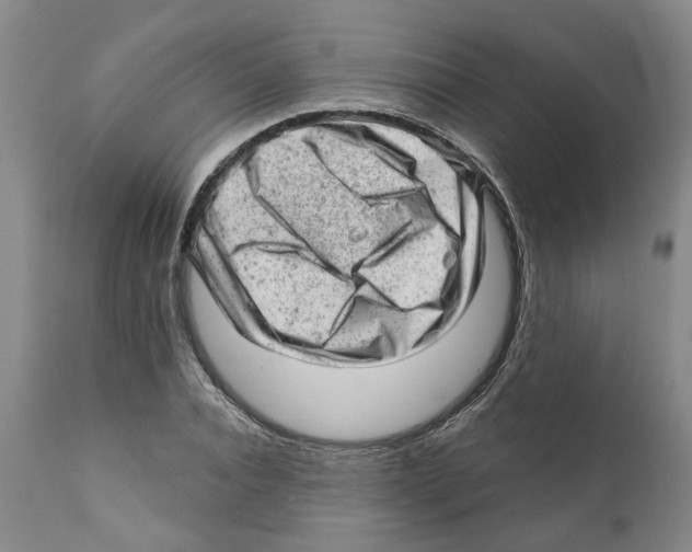 X0000111940928200908241137