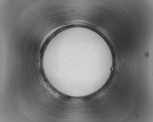 X0000111940931200908241137