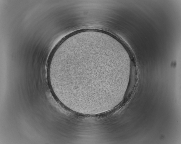 X0000111940932200908241137