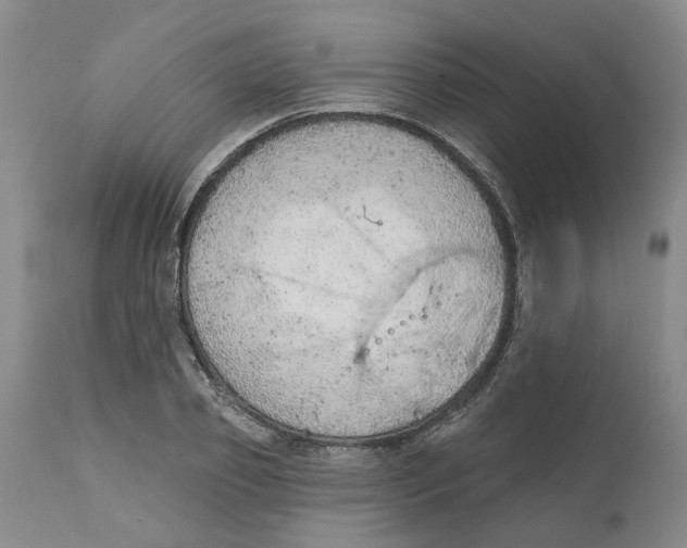 X0000111940933200908241137