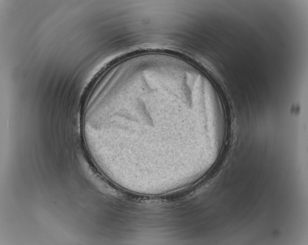 X0000111940934200908241137