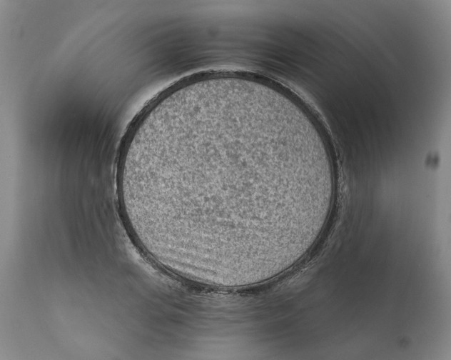 X0000111940935200908241137