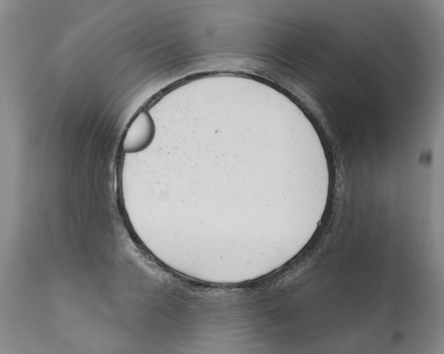 X0000111940936200908241137