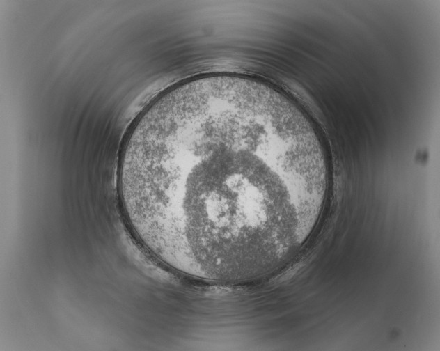 X0000111940938200908241137