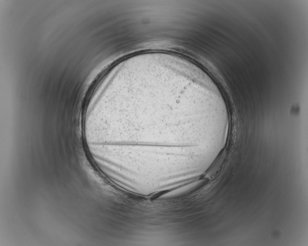 X0000111940939200908241137