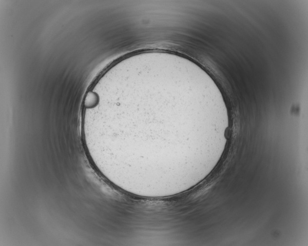 X0000111940940200908241137