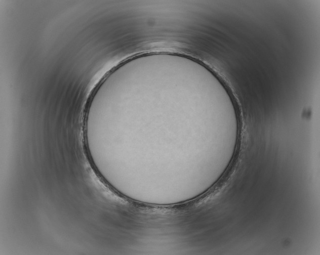 X0000111940941200908241137