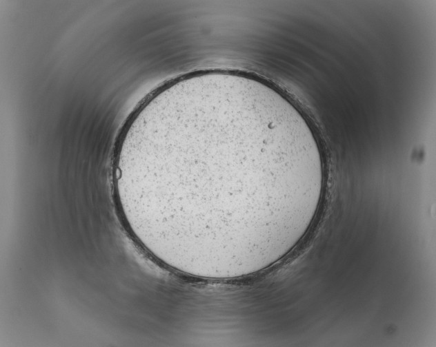 X0000111940942200908241137