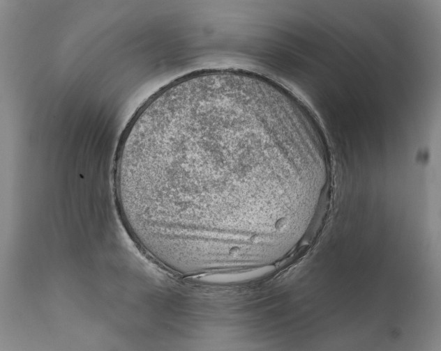 X0000111940943200908241137