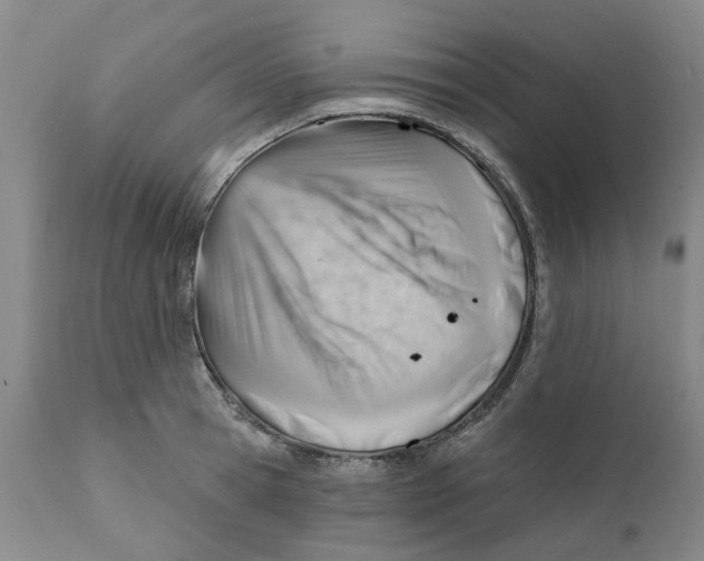 X0000111940945200908241137