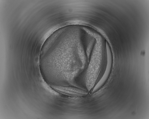 X0000111940946200908241137